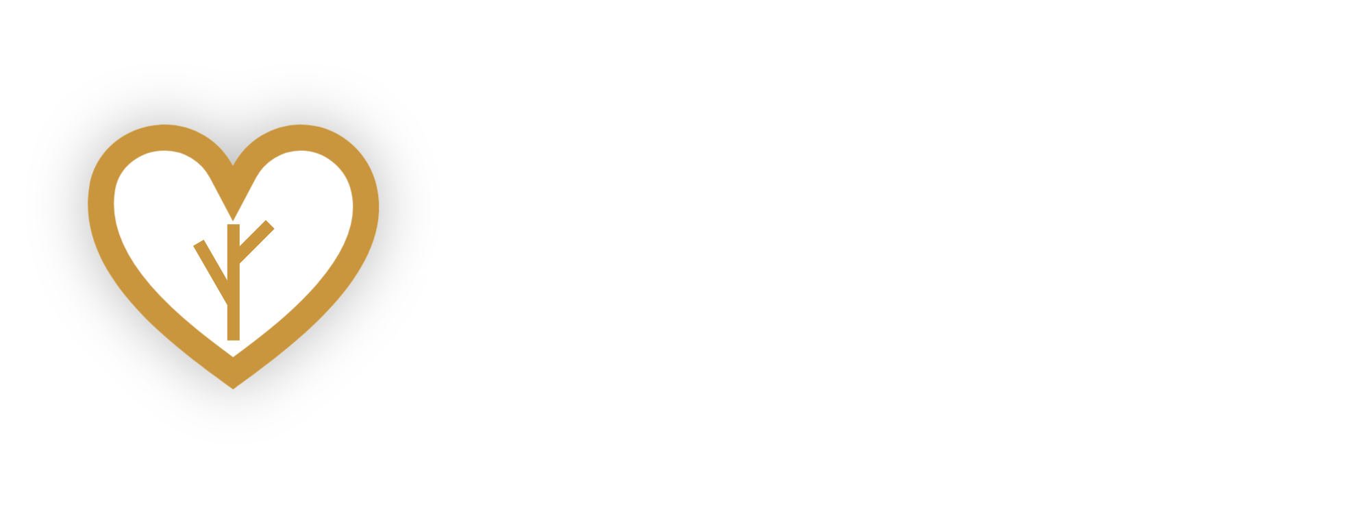 Aspire Care and Support